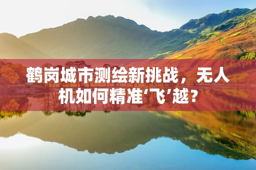 鹤岗城市测绘新挑战，无人机如何精准‘飞’越？