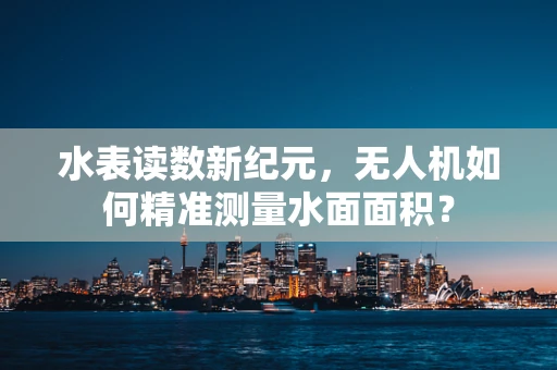 水表读数新纪元，无人机如何精准测量水面面积？