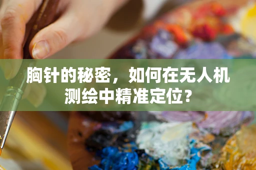 胸针的秘密，如何在无人机测绘中精准定位？