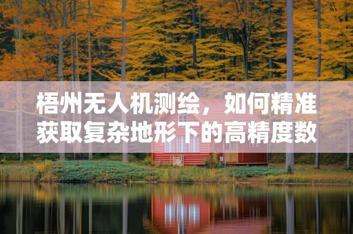 梧州无人机测绘，如何精准获取复杂地形下的高精度数据？
