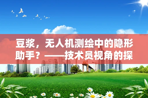 豆浆，无人机测绘中的隐形助手？——技术员视角的探索