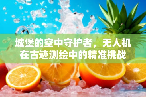 城堡的空中守护者，无人机在古迹测绘中的精准挑战