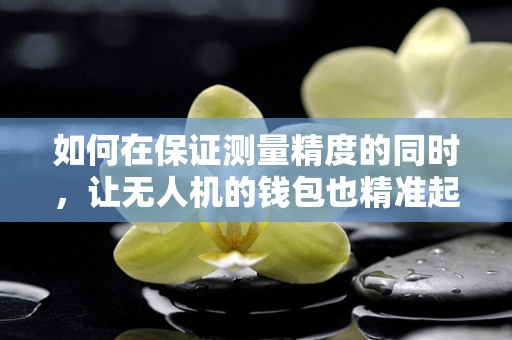 如何在保证测量精度的同时，让无人机的钱包也精准起来？