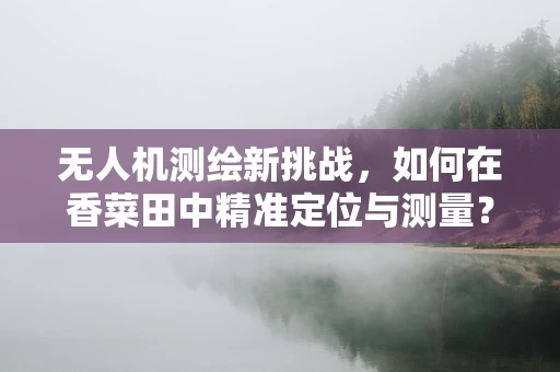 无人机测绘新挑战，如何在香菜田中精准定位与测量？