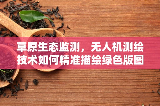 草原生态监测，无人机测绘技术如何精准描绘绿色版图？