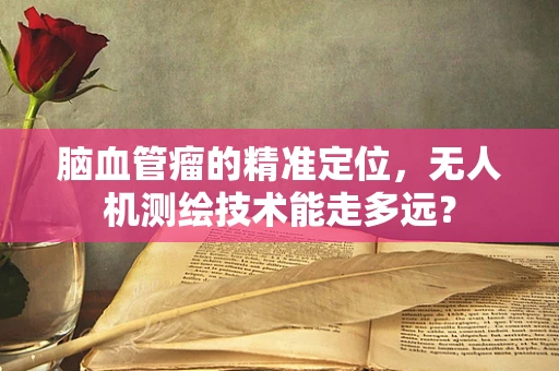 脑血管瘤的精准定位，无人机测绘技术能走多远？