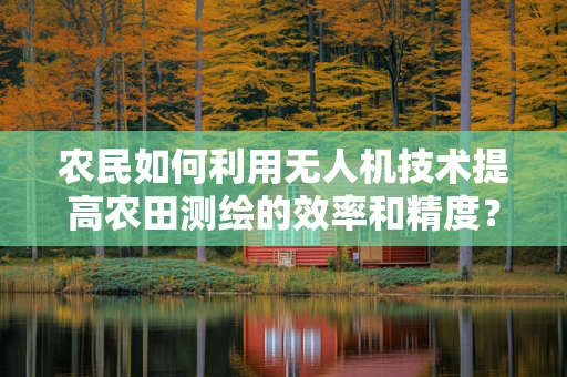 农民如何利用无人机技术提高农田测绘的效率和精度？