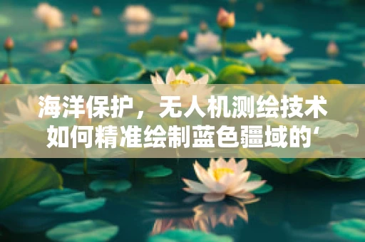 海洋保护，无人机测绘技术如何精准绘制蓝色疆域的‘健康地图’？