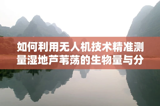 如何利用无人机技术精准测量湿地芦苇荡的生物量与分布？