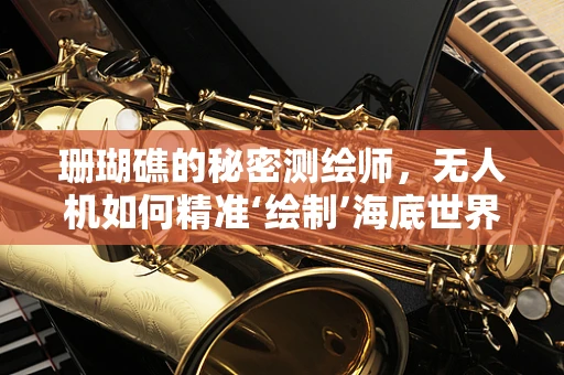 珊瑚礁的秘密测绘师，无人机如何精准‘绘制’海底世界的斑斓色彩？