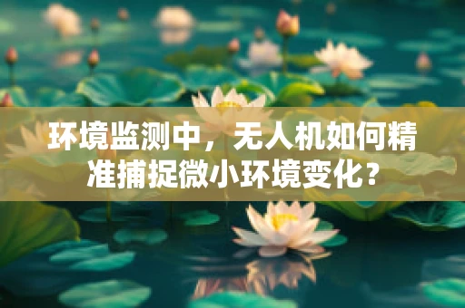 环境监测中，无人机如何精准捕捉微小环境变化？