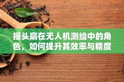 摇头扇在无人机测绘中的角色，如何提升其效率与精度？