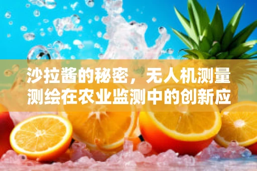 沙拉酱的秘密，无人机测量测绘在农业监测中的创新应用？