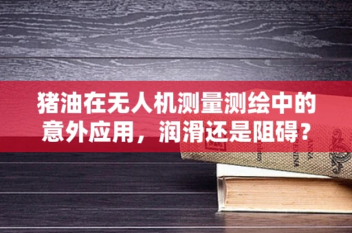 猪油在无人机测量测绘中的意外应用，润滑还是阻碍？