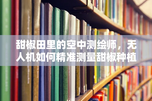 甜椒田里的空中测绘师，无人机如何精准测量甜椒种植面积？