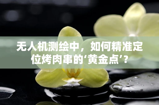 无人机测绘中，如何精准定位烤肉串的‘黄金点’？