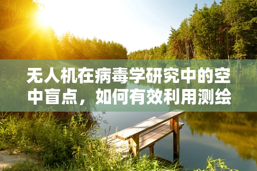 无人机在病毒学研究中的空中盲点，如何有效利用测绘技术提升病毒传播监测？