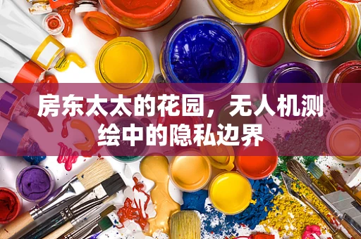 房东太太的花园，无人机测绘中的隐私边界