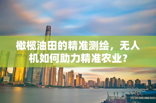 橄榄油田的精准测绘，无人机如何助力精准农业？