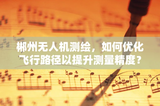 郴州无人机测绘，如何优化飞行路径以提升测量精度？