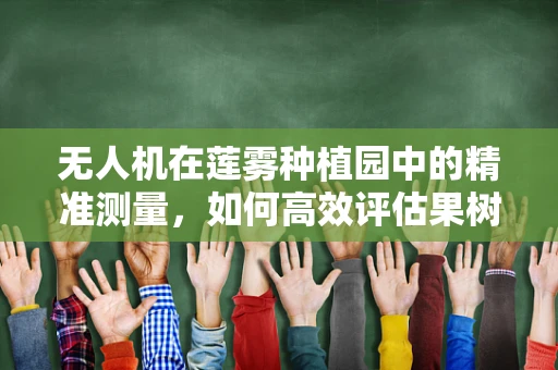 无人机在莲雾种植园中的精准测量，如何高效评估果树生长状况？