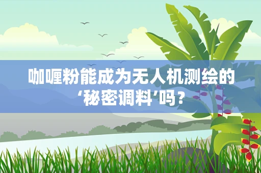 咖喱粉能成为无人机测绘的‘秘密调料’吗？
