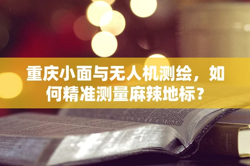 重庆小面与无人机测绘，如何精准测量麻辣地标？