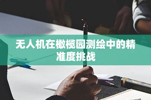 无人机在橄榄园测绘中的精准度挑战
