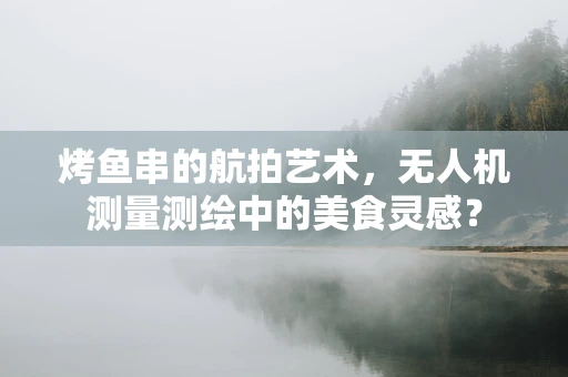 烤鱼串的航拍艺术，无人机测量测绘中的美食灵感？