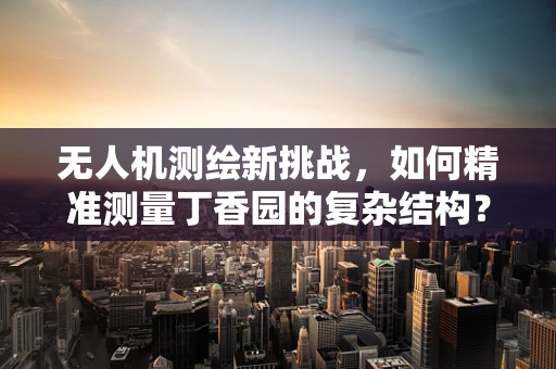 无人机测绘新挑战，如何精准测量丁香园的复杂结构？