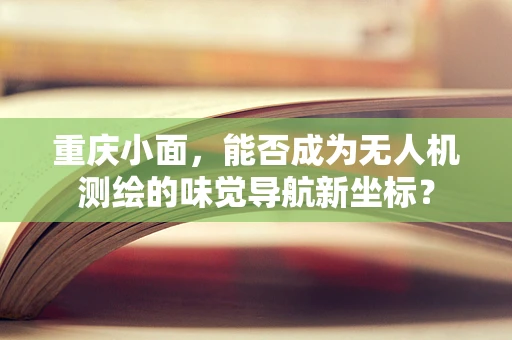 重庆小面，能否成为无人机测绘的味觉导航新坐标？