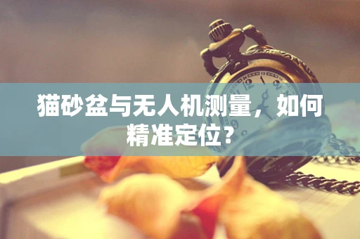 猫砂盆与无人机测量，如何精准定位？