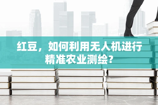红豆，如何利用无人机进行精准农业测绘？