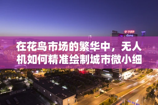 在花鸟市场的繁华中，无人机如何精准绘制城市微小细节的地图？