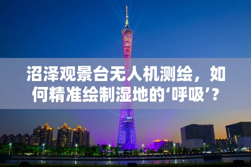 沼泽观景台无人机测绘，如何精准绘制湿地的‘呼吸’？