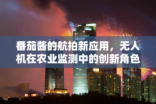 番茄酱的航拍新应用，无人机在农业监测中的创新角色