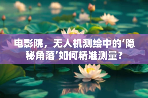 电影院，无人机测绘中的‘隐秘角落’如何精准测量？