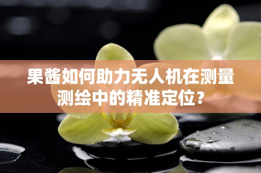 果酱如何助力无人机在测量测绘中的精准定位？