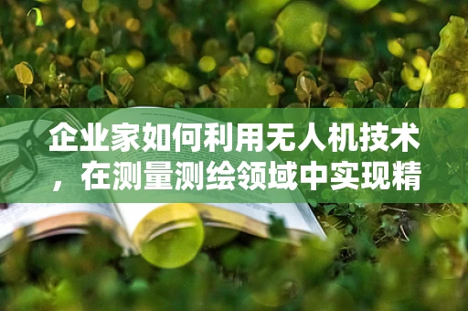 企业家如何利用无人机技术，在测量测绘领域中实现精准高效？
