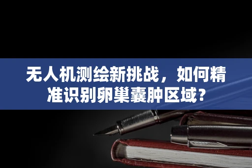 无人机测绘新挑战，如何精准识别卵巢囊肿区域？