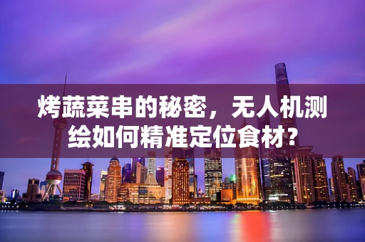 烤蔬菜串的秘密，无人机测绘如何精准定位食材？