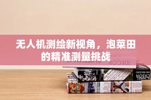 无人机测绘新视角，泡菜田的精准测量挑战