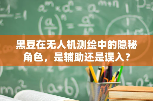 黑豆在无人机测绘中的隐秘角色，是辅助还是误入？