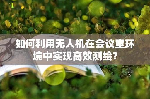 如何利用无人机在会议室环境中实现高效测绘？