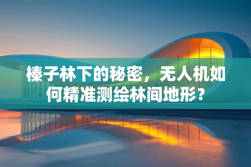 榛子林下的秘密，无人机如何精准测绘林间地形？