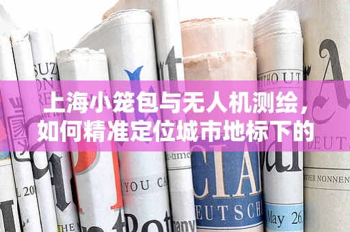 上海小笼包与无人机测绘，如何精准定位城市地标下的复杂地形？