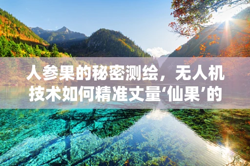 人参果的秘密测绘，无人机技术如何精准丈量‘仙果’的成长轨迹？
