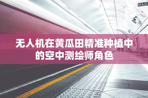 无人机在黄瓜田精准种植中的空中测绘师角色