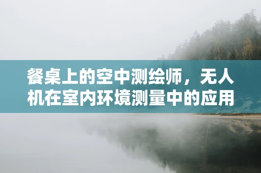 餐桌上的空中测绘师，无人机在室内环境测量中的应用挑战