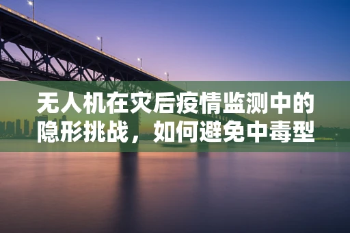 无人机在灾后疫情监测中的隐形挑战，如何避免中毒型细菌性痢疾的传播？